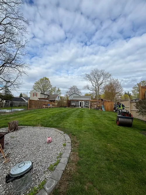 Dense, even, green lawn several weeks after aeration and overseeding