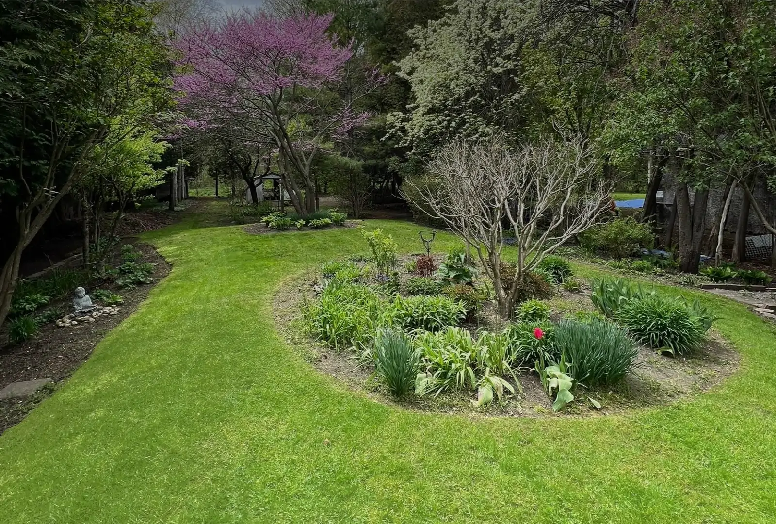 A neatly maintained lawn and property cared for by True Country Property Maintenance