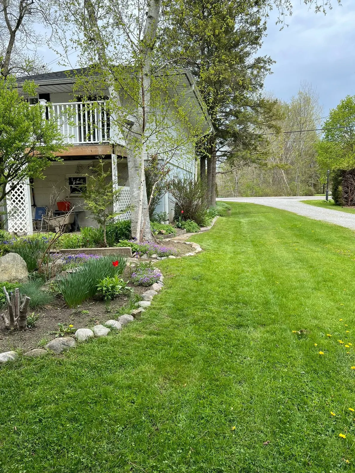 A lawn proudly maintained by True Country Property Maintenance