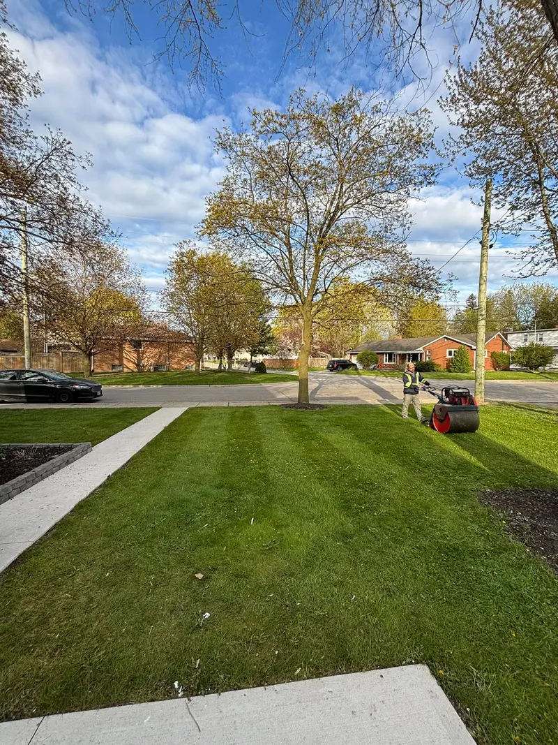 We handle tough overgrown areas with ease